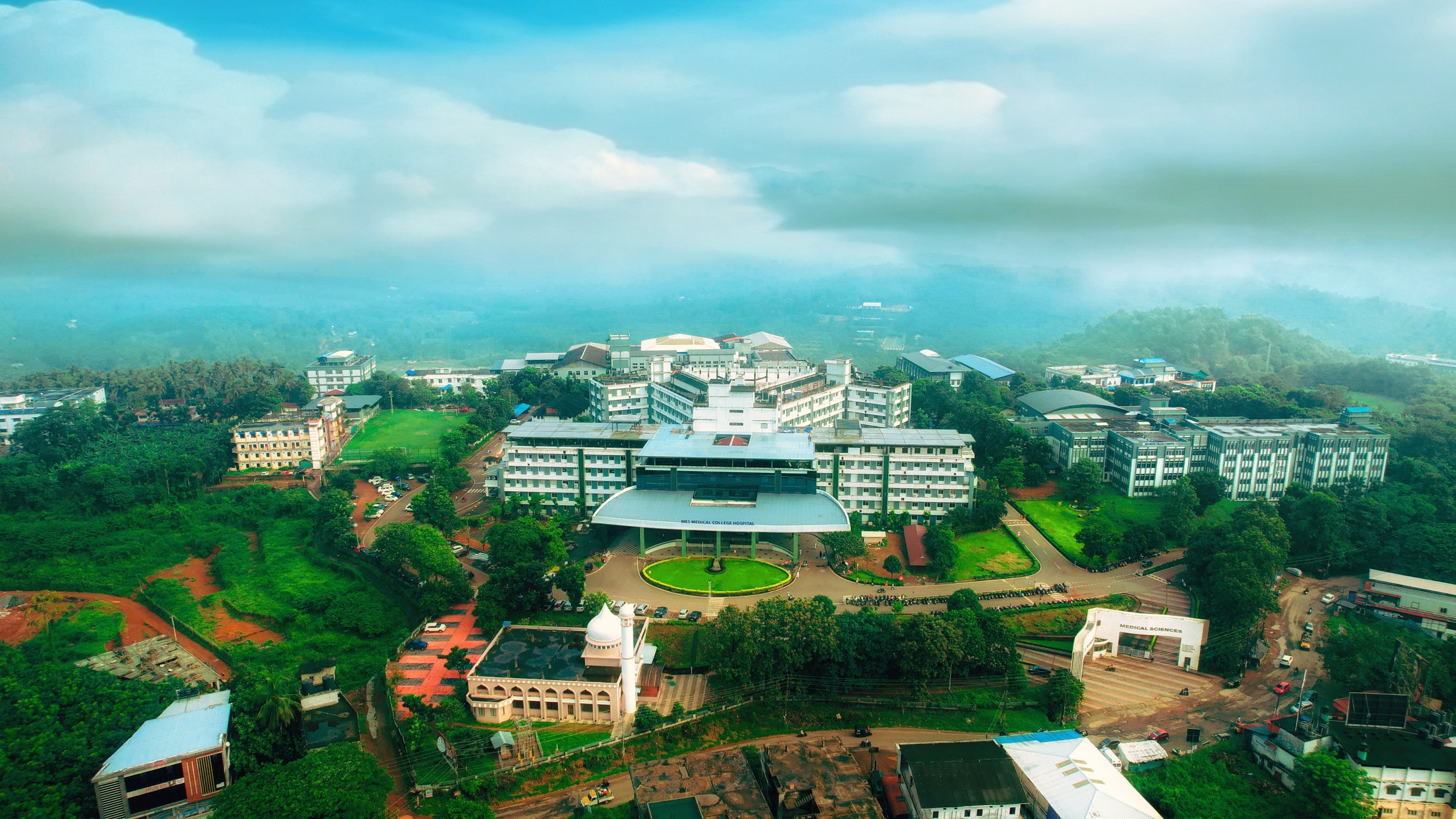 Where Expertise Meets Compassion