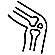 Orthopedics & Traumatology